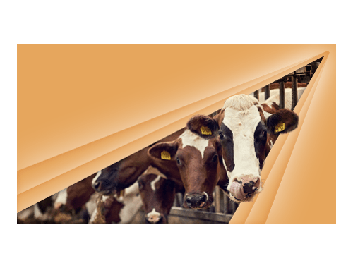 Farming and rural business conference