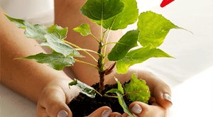 Small Practitioners polaroid